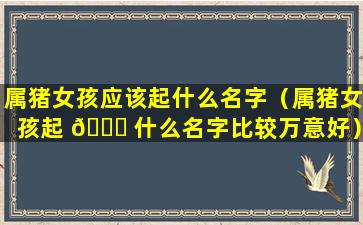 属猪女孩应该起什么名字（属猪女孩起 🐕 什么名字比较万意好）